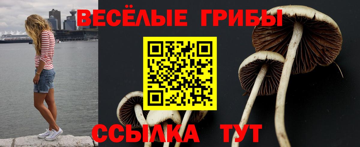 Галлюциногенные грибы Psilocybe  Псилоцибиновые грибы GOLDEN TEACHER  Заволжье  Вход с VPN 